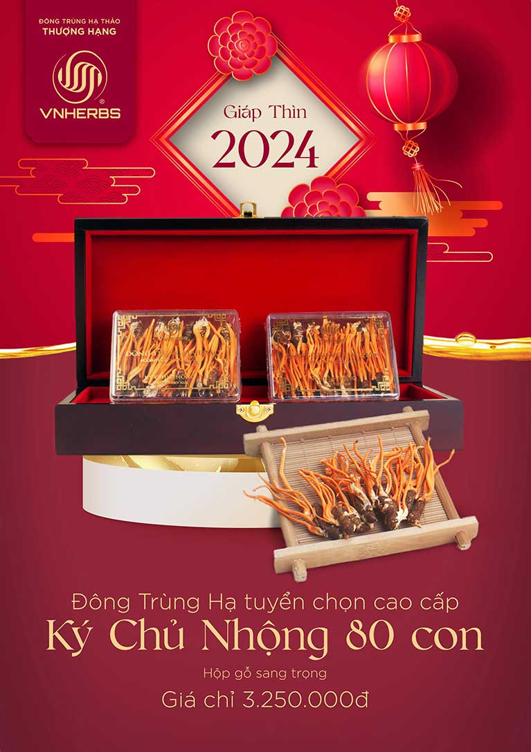 Ký Chủ Nhộng 80 con
